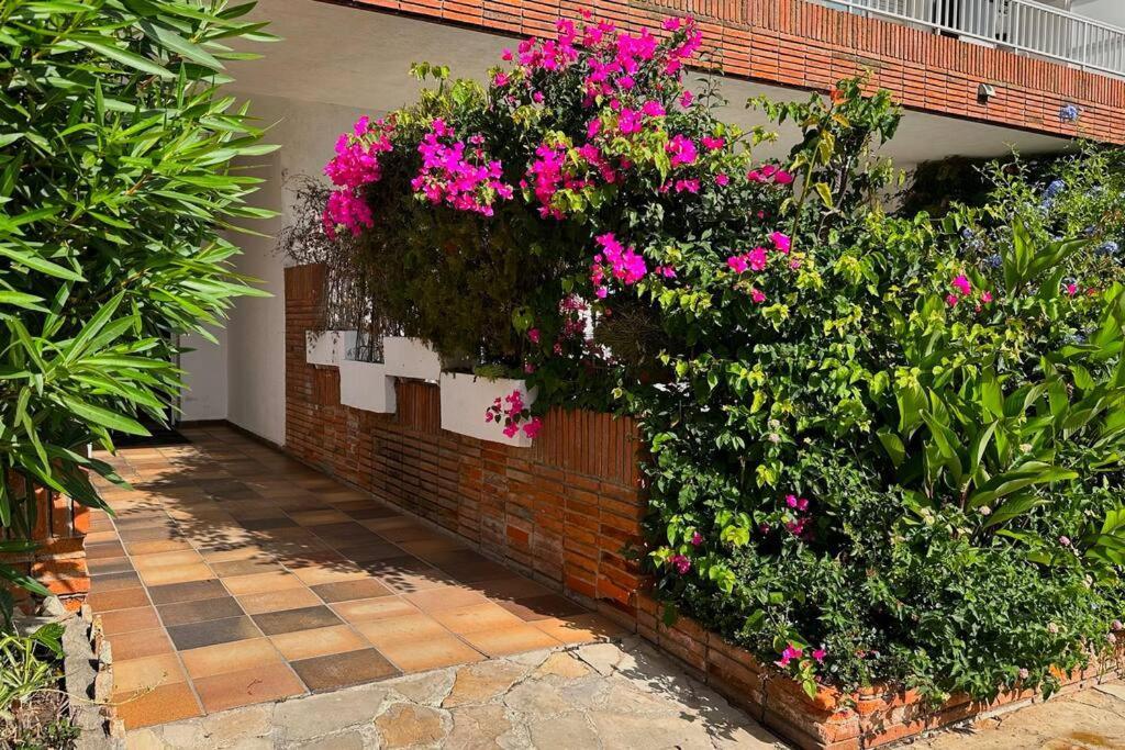 Apartamento Acogedor , Blanes Dış mekan fotoğraf